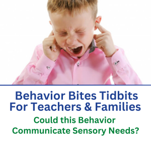 bbtb sensory needs